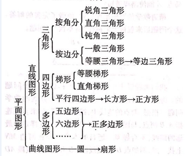 小学数学平面图形的知识结构